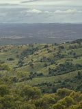 Rolling Hills