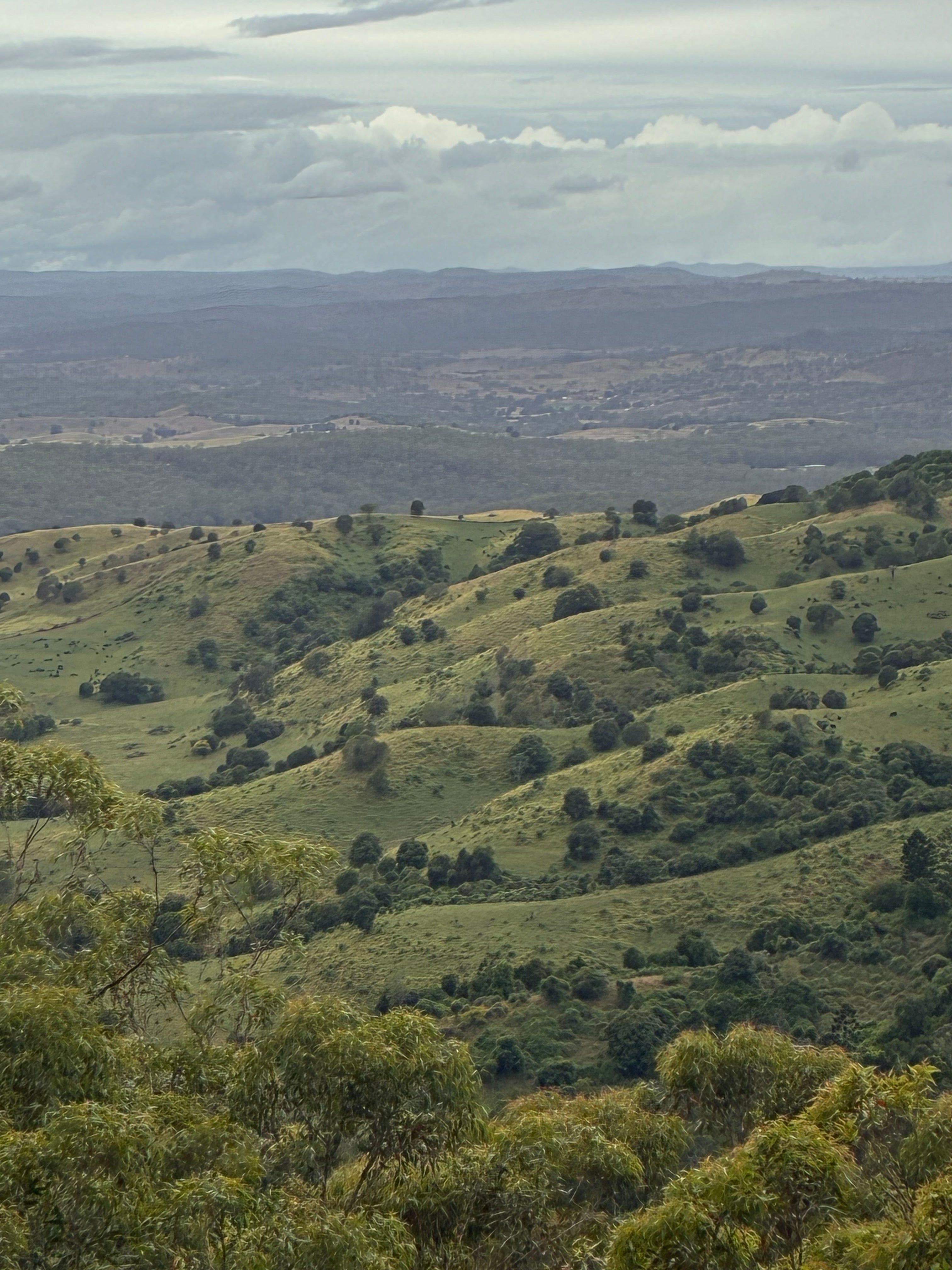Rolling Hills